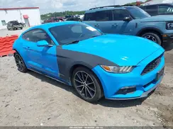 1FA6P8TH7H5210010 2017 FORD MUSTANG
