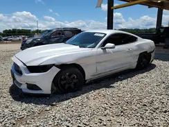 1FA6P8TH7H5214185 2017 FORD MUSTANG