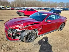 1FA6P8TH7H5224490 2017 FORD MUSTANG