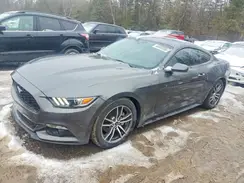 1FA6P8TH7H5251611 2017 FORD MUSTANG