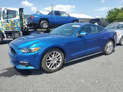 1FA6P8TH7H5258252 2017 FORD MUSTANG