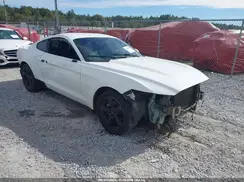 1FA6P8TH7H5263340 2017 FORD MUSTANG