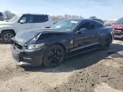 1FA6P8TH7H5304551 2017 FORD MUSTANG