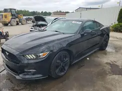 1FA6P8TH7H5332592 2017 FORD MUSTANG