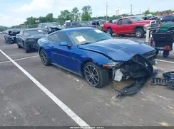 1FA6P8TH7J5135251 2018 FORD MUSTANG
