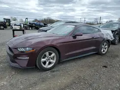 1FA6P8TH7J5165009 2018 FORD MUSTANG
