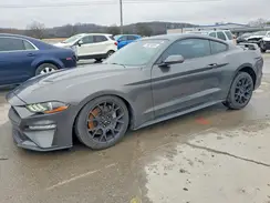 1FA6P8TH7K5101800 2019 FORD MUSTANG