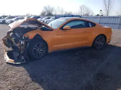 1FA6P8TH7K5103286 2019 FORD MUSTANG