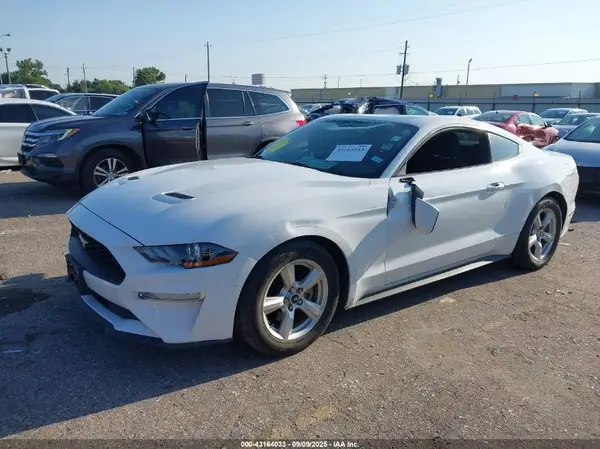 1FA6P8TH7K5111940 2019 FORD MUSTANG - Image 2