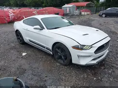 1FA6P8TH7K5112280 2019 FORD MUSTANG