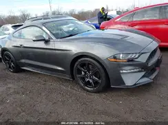 1FA6P8TH7K5117365 2019 FORD MUSTANG