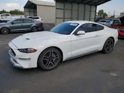 1FA6P8TH7K5119147 2019 FORD MUSTANG
