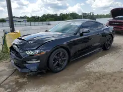 1FA6P8TH7K5120072 2019 FORD MUSTANG