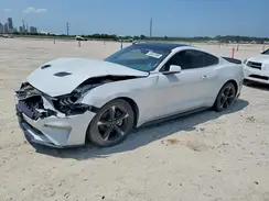 1FA6P8TH7K5122971 2019 FORD MUSTANG