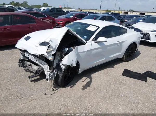 1FA6P8TH7K5123179 2019 FORD MUSTANG - Image 2