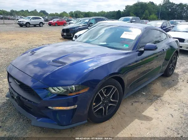 1FA6P8TH7K5124624 2019 FORD MUSTANG - Image 2