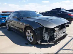 1FA6P8TH7K5125126 2019 FORD MUSTANG