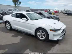 1FA6P8TH7K5125661 2019 FORD MUSTANG