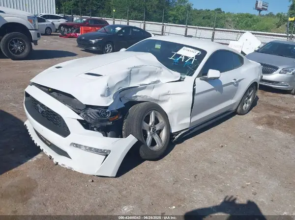 1FA6P8TH7K5125790 2019 FORD MUSTANG - Image 2