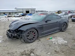 1FA6P8TH7K5129368 2019 FORD MUSTANG
