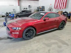 1FA6P8TH7K5129385 2019 FORD MUSTANG