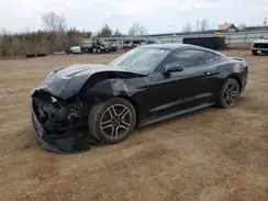1FA6P8TH7K5130004 2019 FORD MUSTANG