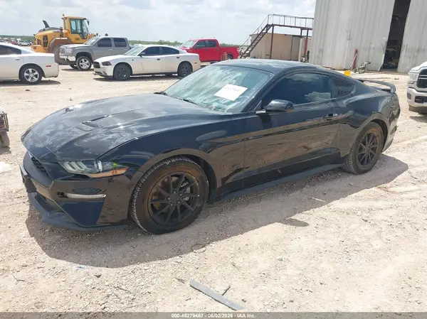 1FA6P8TH7K5130164 2019 FORD MUSTANG - Image 2