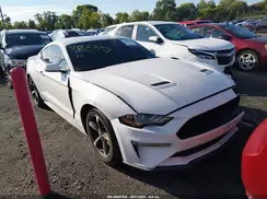 1FA6P8TH7K5133369 2019 FORD MUSTANG
