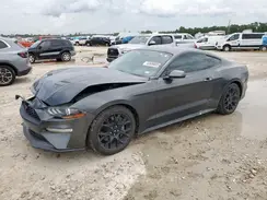 1FA6P8TH7K5134067 2019 FORD MUSTANG