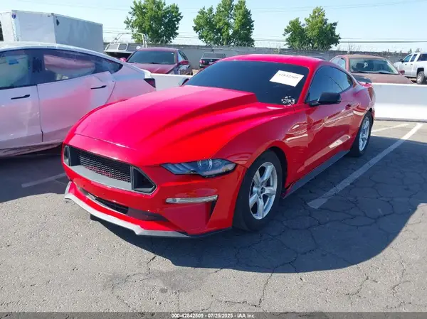 1FA6P8TH7K5135493 2019 FORD MUSTANG - Image 2