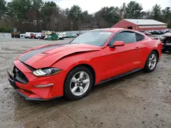 1FA6P8TH7K5135784 2019 FORD MUSTANG