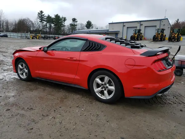1FA6P8TH7K5135784 2019 FORD MUSTANG - Image 2