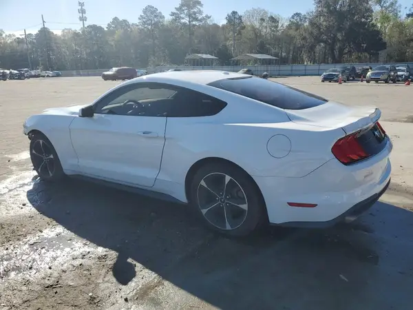 1FA6P8TH7K5141679 2019 FORD MUSTANG - Image 2