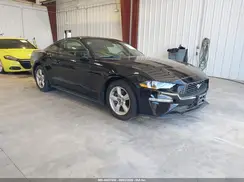 1FA6P8TH7K5143531 2019 FORD MUSTANG