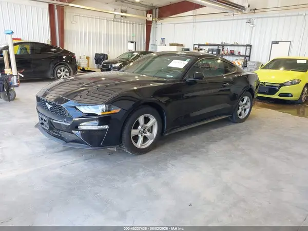 1FA6P8TH7K5143531 2019 FORD MUSTANG - Image 2