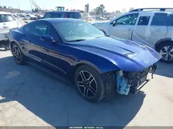 1FA6P8TH7K5143674 2019 FORD MUSTANG