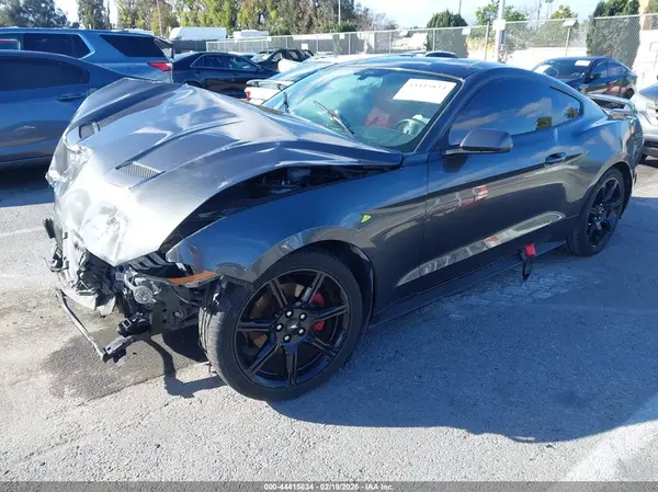 1FA6P8TH7K5143982 2019 FORD MUSTANG - Image 2
