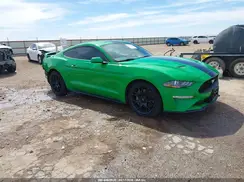 1FA6P8TH7K5147837 2019 FORD MUSTANG