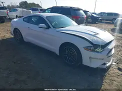 1FA6P8TH7K5151242 2019 FORD MUSTANG