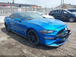 1FA6P8TH7K5162614 2019 FORD MUSTANG