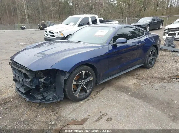 1FA6P8TH7K5167134 2019 FORD MUSTANG - Image 2