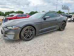 1FA6P8TH7K5167537 2019 FORD MUSTANG