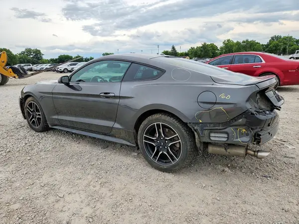 1FA6P8TH7K5167537 2019 FORD MUSTANG - Image 2