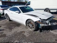 1FA6P8TH7K5168736 2019 FORD MUSTANG