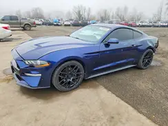 1FA6P8TH7K5169126 2019 FORD MUSTANG