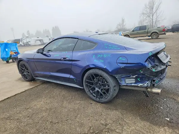 1FA6P8TH7K5169126 2019 FORD MUSTANG - Image 2