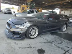 1FA6P8TH7K5169532 2019 FORD MUSTANG