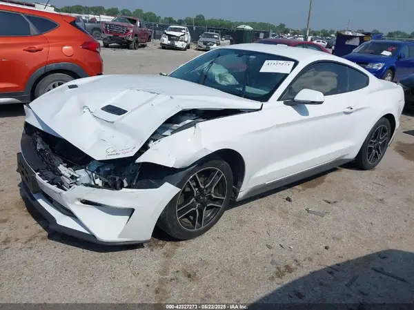 1FA6P8TH7K5172155 2019 FORD MUSTANG - Image 2