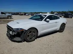 1FA6P8TH7K5172561 2019 FORD MUSTANG