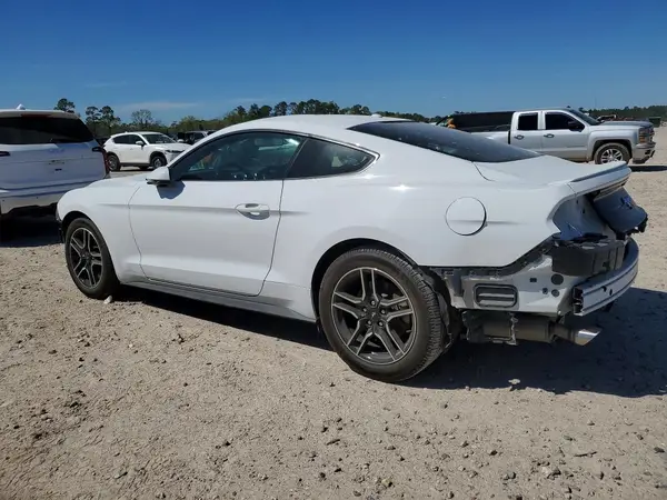 1FA6P8TH7K5172561 2019 FORD MUSTANG - Image 2